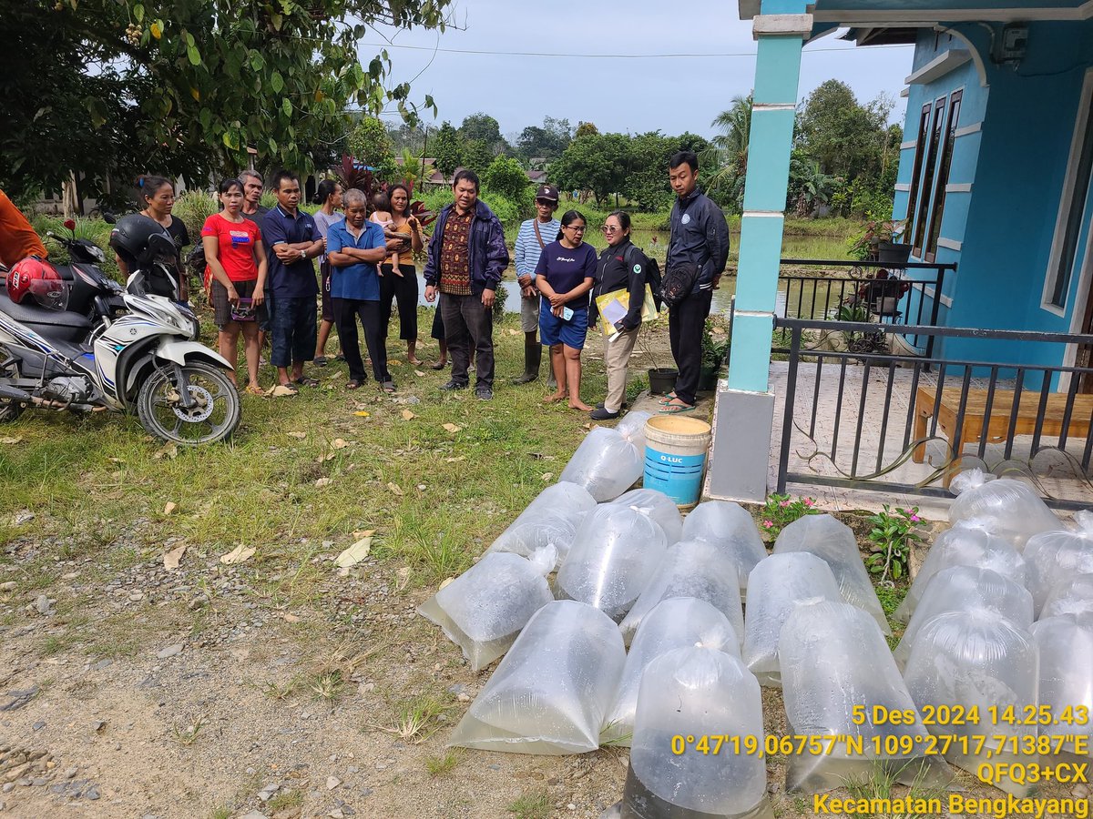 AdenRadianus's tweet photo. Kamis 05/12-2024
Luhkan Bengkayang bersama Dinas Perikanan menyerahkan bantuan benih ikan kepada Pokdakan Tirta Jaya Desa Tirta Kencana Kecamatan Bengkayang sebanyak 16.500 ekor terdiri dari Benih Mas, Bila, Jelawat dan Patin
#giatluhkansatminkaltegal
#giatluhkanbengkayang https://t.co/UFLTjGhIsh
