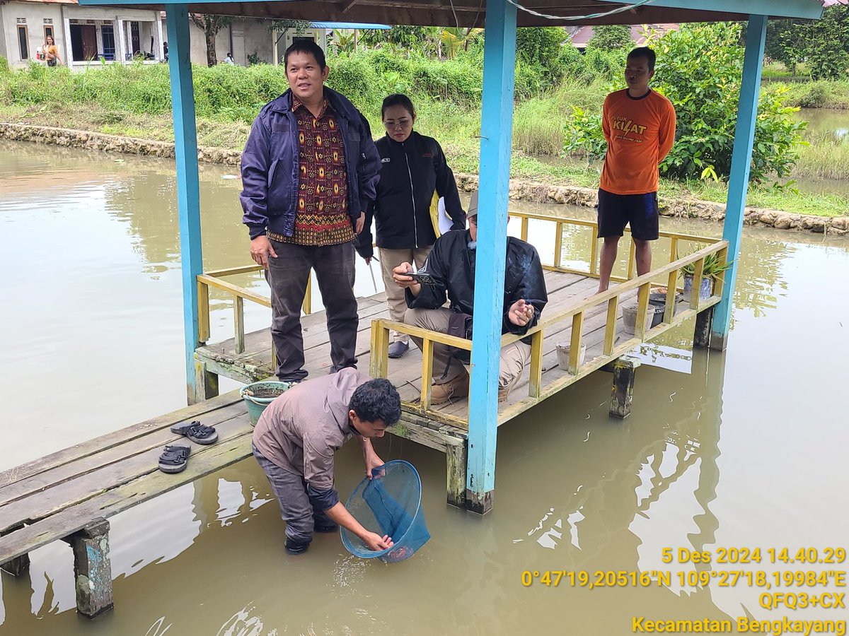 AdenRadianus's tweet photo. Kamis 05/12-2024
Luhkan Bengkayang bersama Dinas Perikanan menyerahkan bantuan benih ikan kepada Pokdakan Tirta Jaya Desa Tirta Kencana Kecamatan Bengkayang sebanyak 16.500 ekor terdiri dari Benih Mas, Bila, Jelawat dan Patin
#giatluhkansatminkaltegal
#giatluhkanbengkayang https://t.co/UFLTjGhIsh