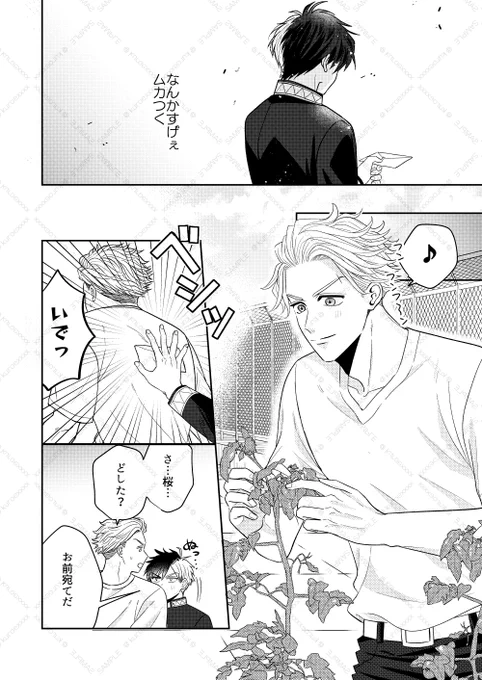 🍅🌸新刊サンプル(3/3) 