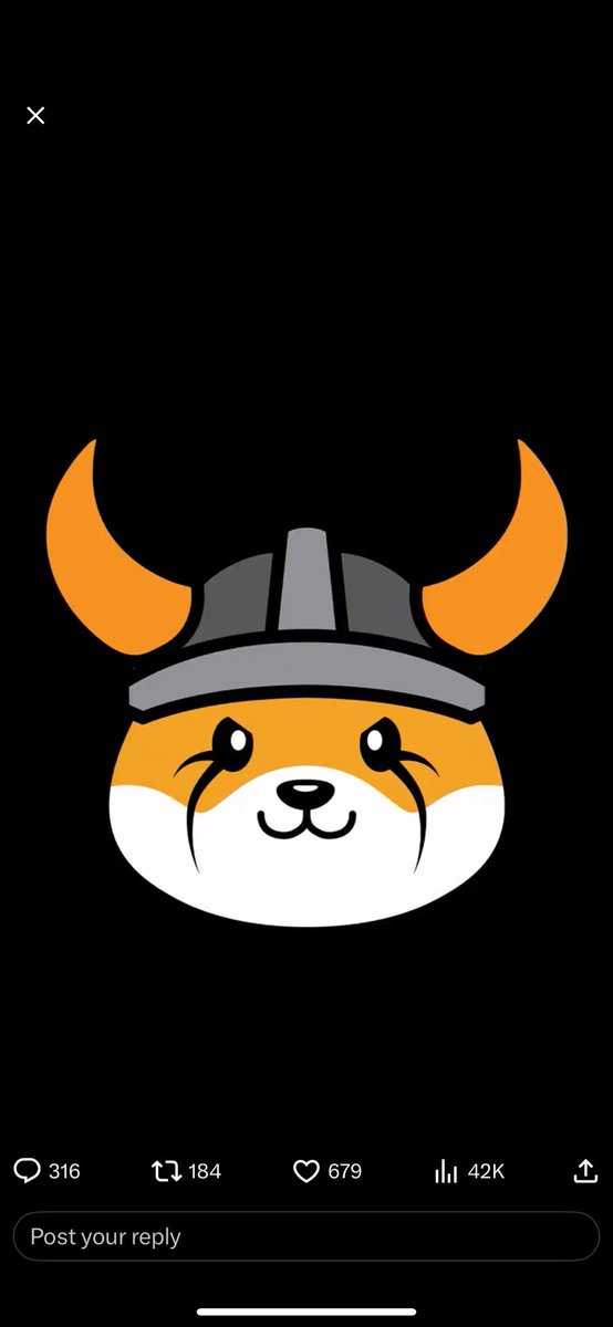 leveenos's tweet photo. My Shiba Inu will be named Floki https://t.co/bZ5CPamBcX