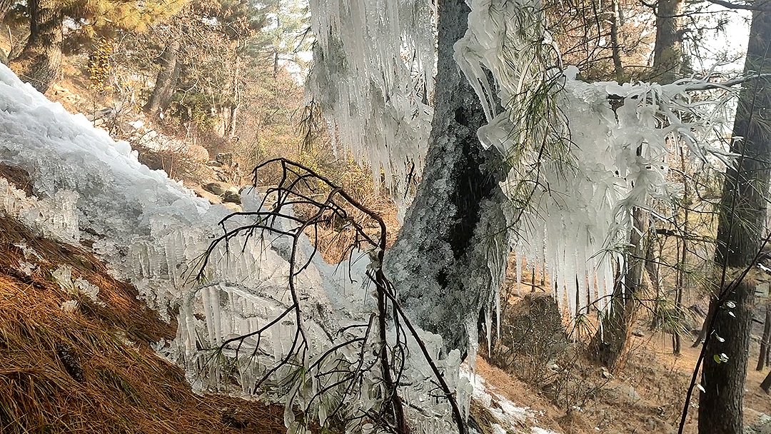 GulistanNewsTV's tweet photo. #inpics | Icicles form on a tree branch as the valley experiences sub-zero temperatures, at Tangmarg in Baramulla on Saturday.
#icyvalley #snowytangmarg #winterwonderland #subzeroweather #iceformation https://t.co/ggIwkUbXNR