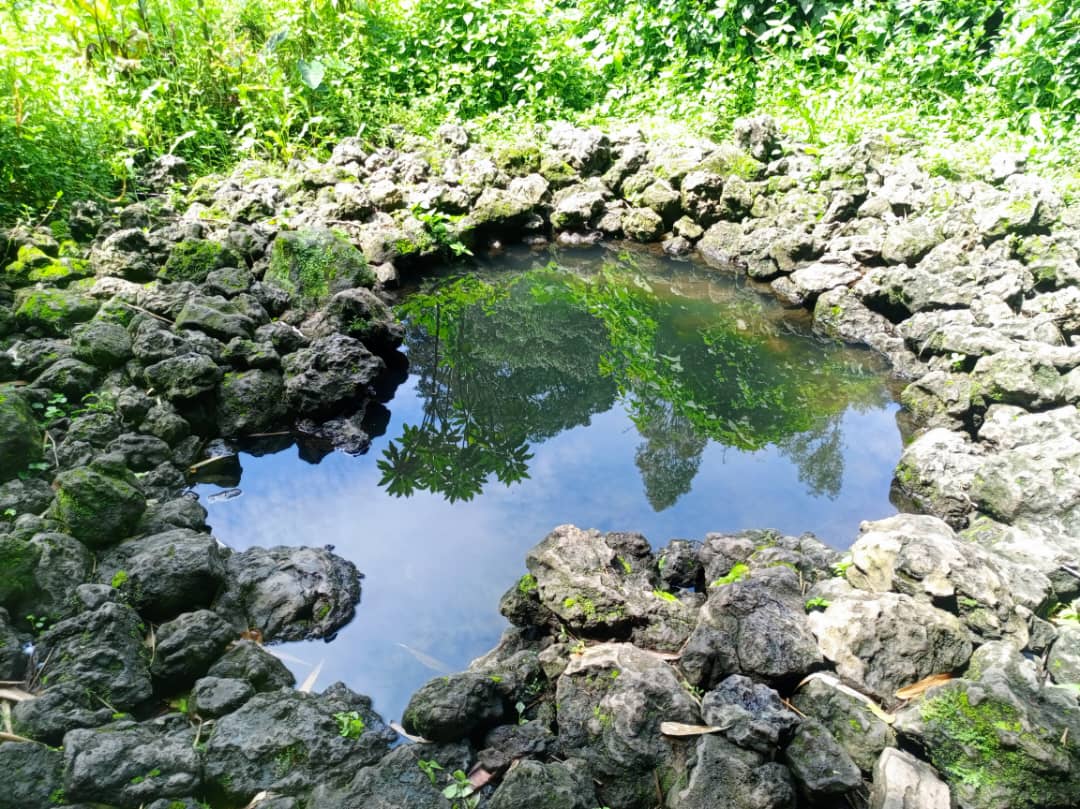 GREENAFRICA.RW 🌍 (@greenafricarw) on Twitter photo Before being crowned, Rwandan kings underwent a purification ritual with water from the sacred Nkotsi and Bikara spring, in Buhanga Eco-Park, <a href="/MusanzeDistrict/">Musanze District</a>. Discover the unique heritage of this mystical site.. #VisitBuhangaEcoPark <a href="/RwandaNorth/">Northern Province/ Rwanda</a> <a href="/visitrwanda_now/">Visit Rwanda</a>
<a href="/RDBrwanda/">Rwanda Development Board</a> Before being crowned, Rwandan kings underwent a purification ritual with water from the sacred Nkotsi and Bikara spring, in Buhanga Eco-Park, <a href="/MusanzeDistrict/">Musanze District</a>. Discover the unique heritage of this mystical site.. #VisitBuhangaEcoPark <a href="/RwandaNorth/">Northern Province/ Rwanda</a> <a href="/visitrwanda_now/">Visit Rwanda</a>
<a href="/RDBrwanda/">Rwanda Development Board</a>