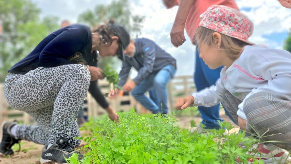 Val_Fabian's tweet photo. 🌱✨ En la huerta #ElPocho, celebramos la sexta #cosecha🥦🥬, realizamos #trasplantes🍅🌱, entregamos una #compostera♻️ y brindamos una capacitacion sobre compost.
Trabajamos junto a la comunidad 🤝 por mas hortalizas frescas 🥬, alimentación saludable 🥗, y un futuro sustentable 🌍.
De la huerta🌱 a la mesa 🍽️ es posible! con un gran trabajo de los vecinos y de referentes como #Paola y #Pocho.
#EnEquipo🙌
#HuertasComunitarias💚 del @MunicipioBahia.
