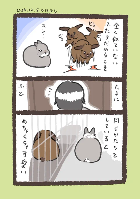 正反対のふたり

#うさぎのいる生活 