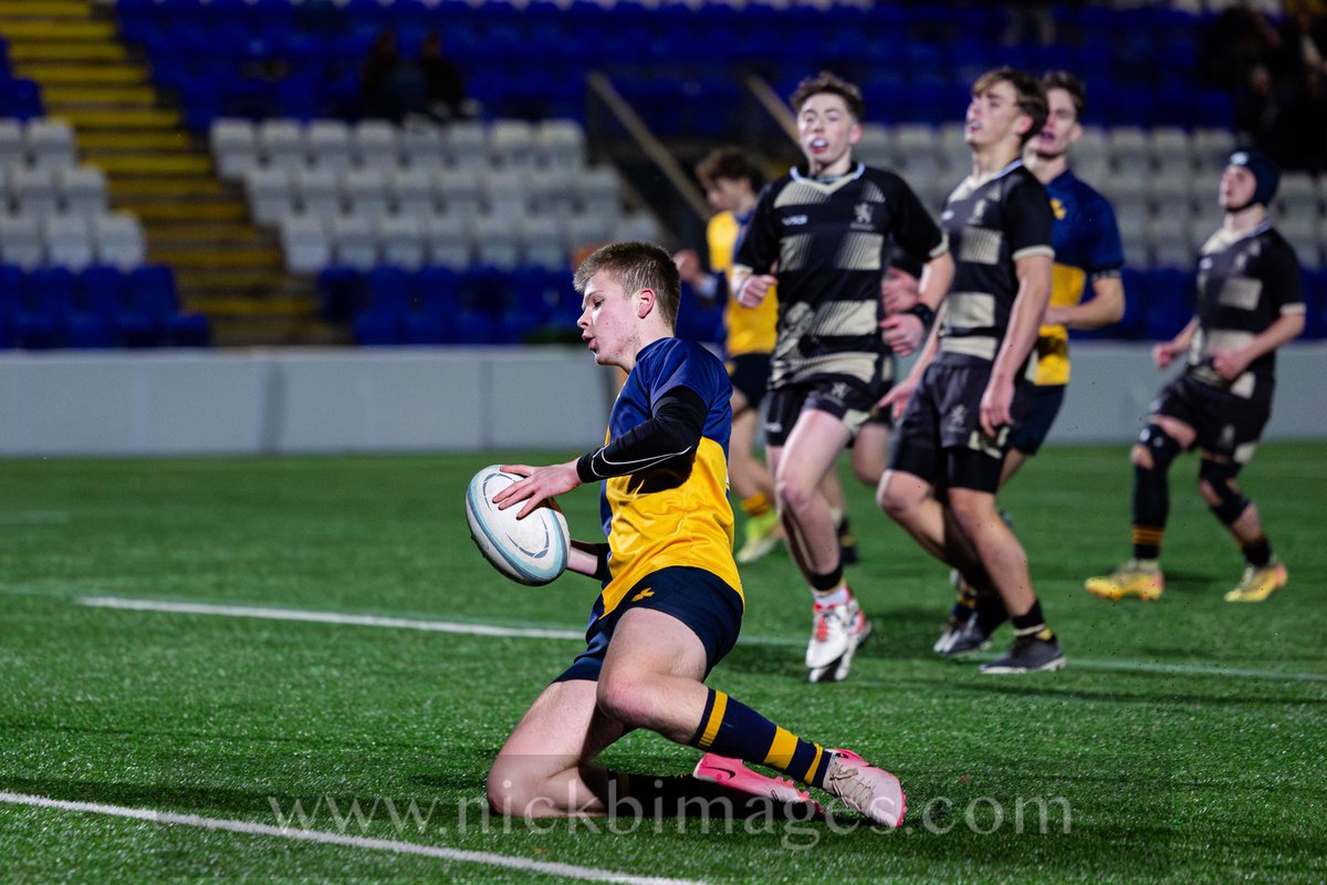 Nick B Images tweet media