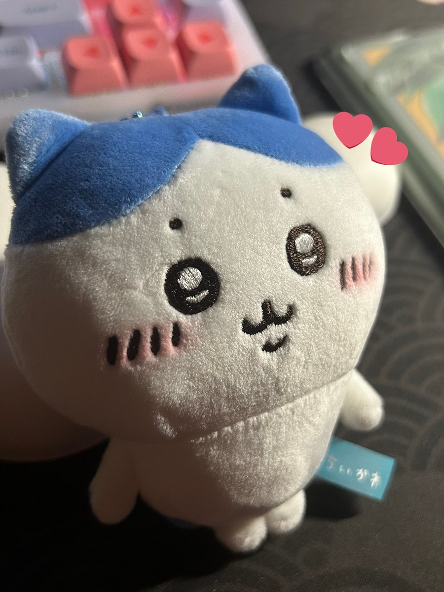 hoonbeans's tweet photo. hello, @thehybenoona ^^ hachi is homeee thank you so much for the smooth transaction !
 #tysm_yn ❣️ https://t.co/H4y4LSb3NB