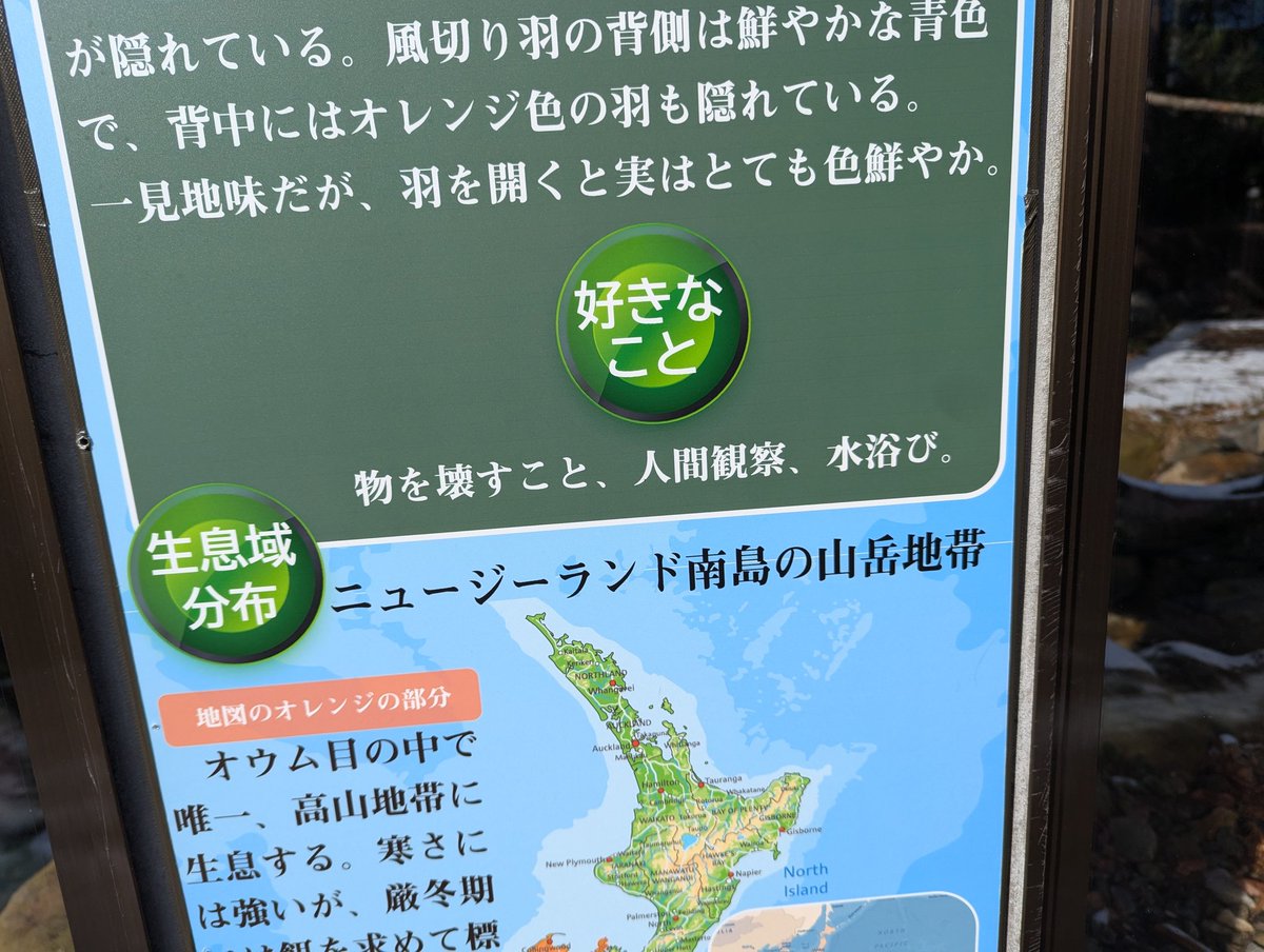 syako_kan's tweet photo. 楽しかった〜
#アニマルサミット https://t.co/wIuo8VJwvD