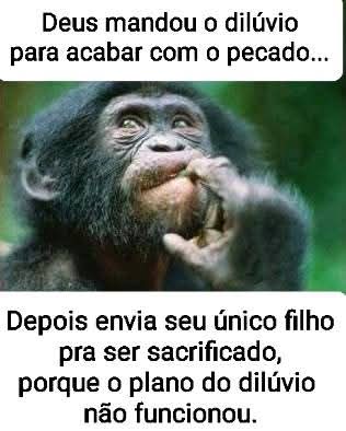 Frede Cavalcante tweet media
