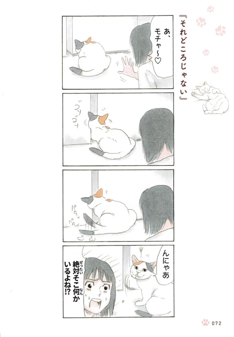 『拾い猫のモチャ』より 