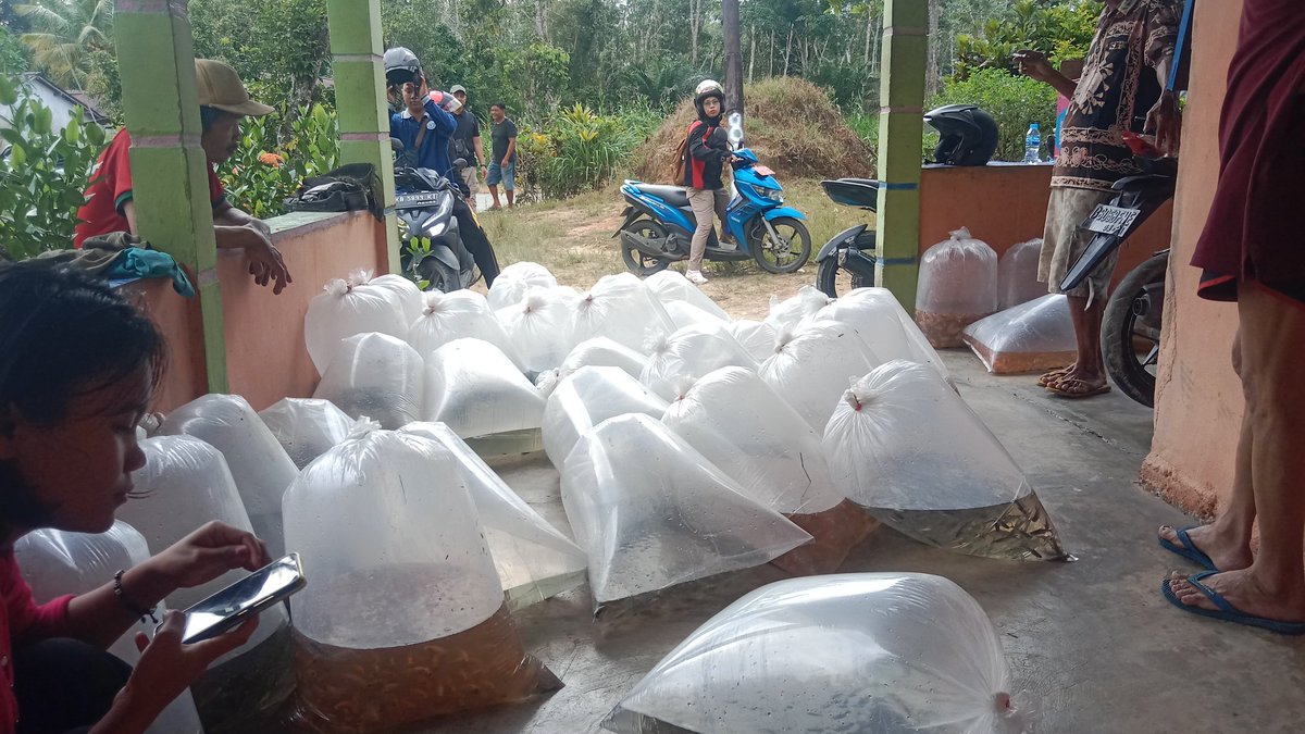 AdenRadianus's tweet photo. Jumat 06/12-2024
Luhkan Bengkayang bersama Dinas Perikanan Kabupaten Bengkayang menyerahkan bantuan Benih Ikan di Pokdakan Nangun Sundu Desa Bani Amas Kec. Bengkayang yang terdiri dari benih Mas, Nila, Jelawat dan Patin
#giatluhkansatminkaltegal
#giatluhkanbengkayang https://t.co/oEMhWp3xF1