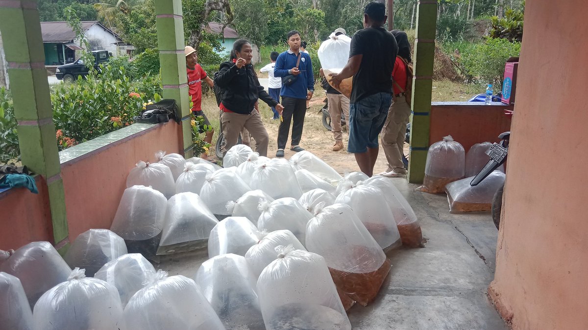 AdenRadianus's tweet photo. Jumat 06/12-2024
Luhkan Bengkayang bersama Dinas Perikanan Kabupaten Bengkayang menyerahkan bantuan Benih Ikan di Pokdakan Nangun Sundu Desa Bani Amas Kec. Bengkayang yang terdiri dari benih Mas, Nila, Jelawat dan Patin
#giatluhkansatminkaltegal
#giatluhkanbengkayang https://t.co/oEMhWp3xF1