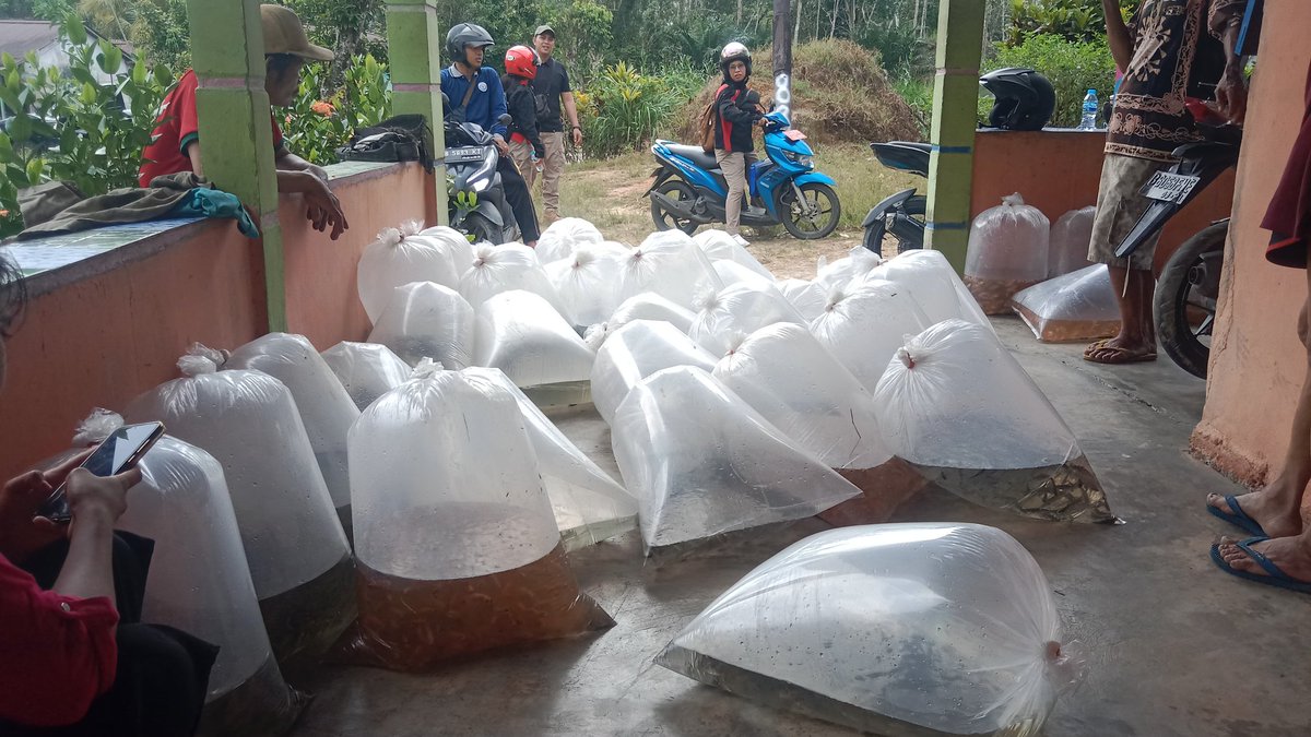 AdenRadianus's tweet photo. Jumat 06/12-2024
Luhkan Bengkayang bersama Dinas Perikanan Kabupaten Bengkayang menyerahkan bantuan Benih Ikan di Pokdakan Nangun Sundu Desa Bani Amas Kec. Bengkayang yang terdiri dari benih Mas, Nila, Jelawat dan Patin
#giatluhkansatminkaltegal
#giatluhkanbengkayang https://t.co/oEMhWp3xF1