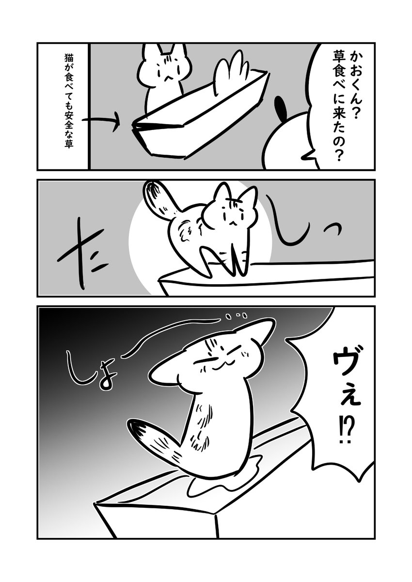 プランターが… 2/2 
