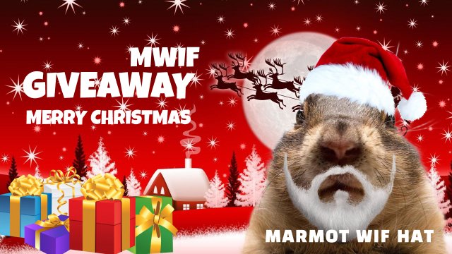 CHIA $MWIF 🌱 tweet media