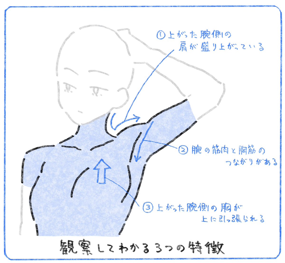 xfoxyfox's tweet photo. 腋が見えるポーズを描きたいときにどうぞ https://t.co/RgyiAPzkkf