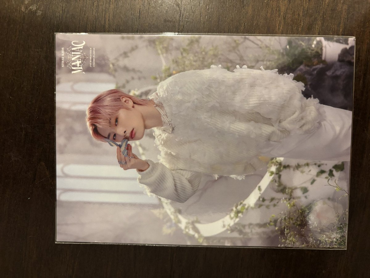han_jinki's tweet photo. Any I.N. stans here? I'm selling postcards from their Maniac 2nd World Tour: Encore in Japan. ₱100 each or ₱350 for all 4. PH only. DM me. 
#lfb #wts #StrayKids #kpop #jyp https://t.co/1ZhXKH3qpp