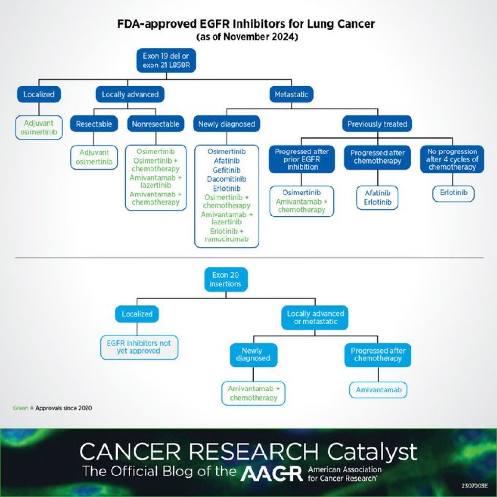 FDA-approved EGFR inhibitors in lung cancer!
#LungCancer #EGFR #Oncology <a href="/OncoAlert/">OncoAlert</a> <a href="/AACR/">AACR</a> <a href="/IASLC/">IASLC</a>