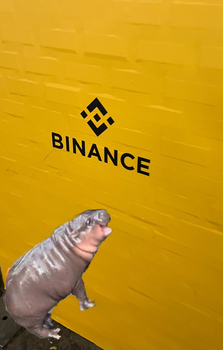 crypto snow queen tweet media