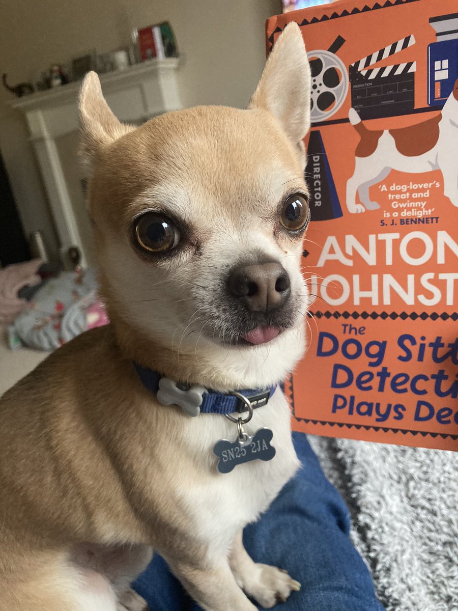 KarenKisreading 📚🐾 (@karenkingston8) on Twitter photo Ollie the chihuahua is thrilled to help me share my #bookpost today.
Thank you <a href="/AllisonandBusby/">Allison & Busby</a> for this gorgeous copy of The Dog Sitter Detective Plays Dead by <a href="/AntonyJohnston/">Antony Johnston (@antonyjohnston elsewhere, too)</a>.
Will be published on 23 January 2025. Ollie the chihuahua is thrilled to help me share my #bookpost today.
Thank you <a href="/AllisonandBusby/">Allison & Busby</a> for this gorgeous copy of The Dog Sitter Detective Plays Dead by <a href="/AntonyJohnston/">Antony Johnston (@antonyjohnston elsewhere, too)</a>.
Will be published on 23 January 2025.