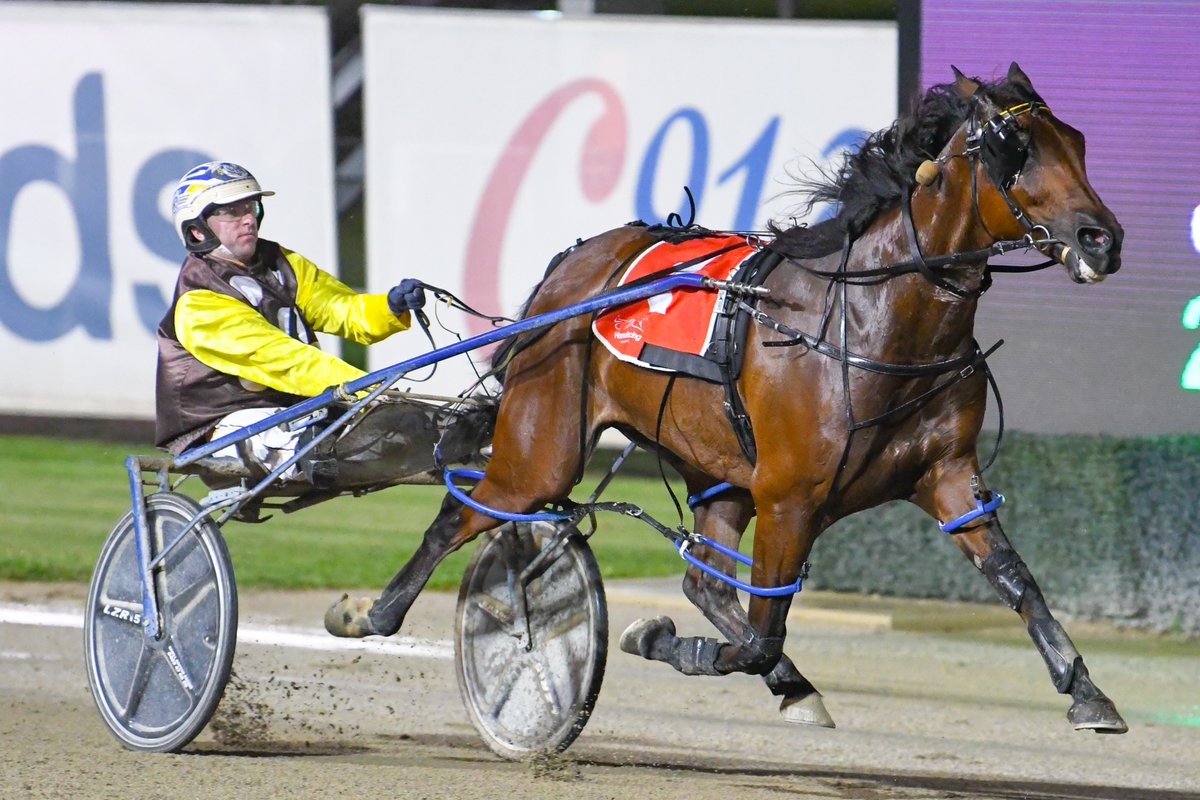ClubMenangle's tweet photo. #RiverinaForm reigns supreme as Im Alrite for Trevor White and Cameron Hart takes out the Aspire Education &amp; Care Waratah Final.🥇

Recording a mile rate of 1.54.3, Rebounder and Barlor Heaven filled the minor placings.

Congratulations to all connections.👏

#ClubMenangle https://t.co/6QbwoM3jJ6