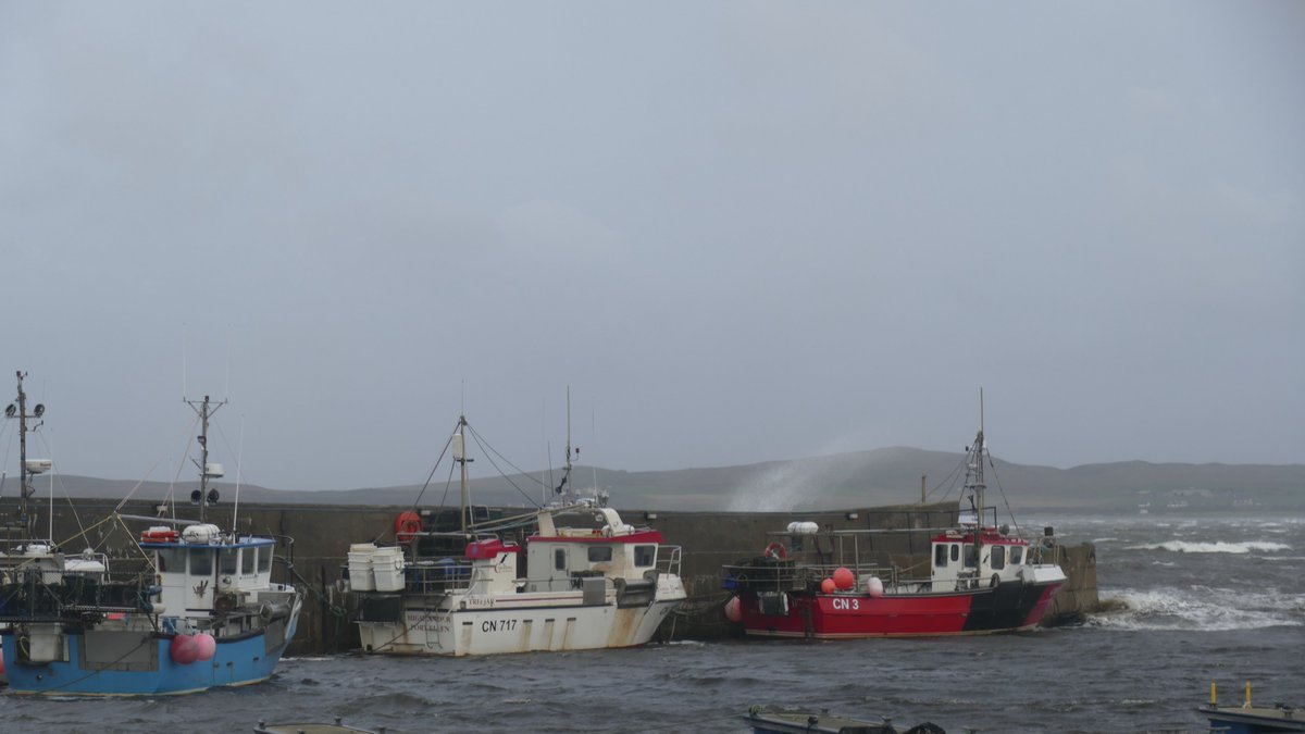 davidliv25's tweet photo. Loch Indaal Islay this morning. https://t.co/L7HgCB0lho