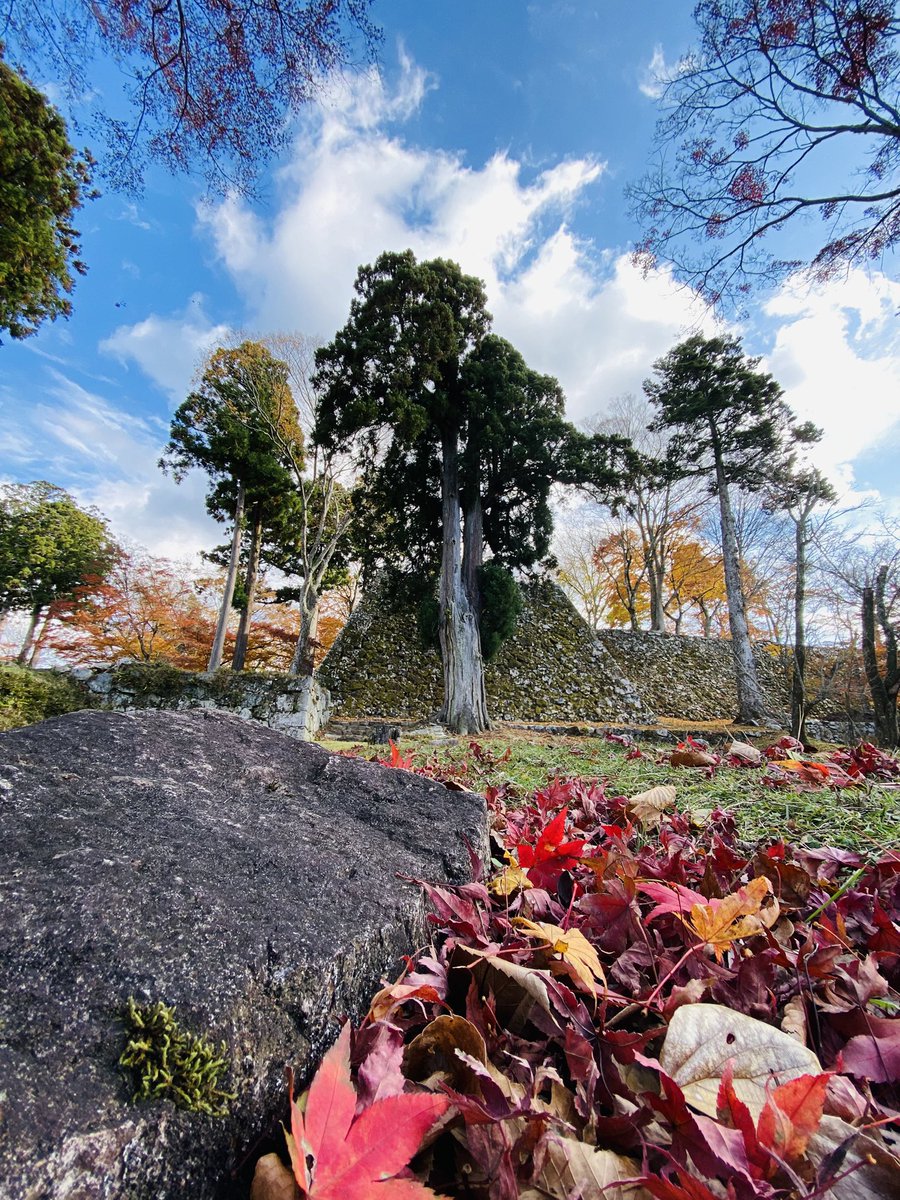 non_3246🚴‍♀️ tweet media