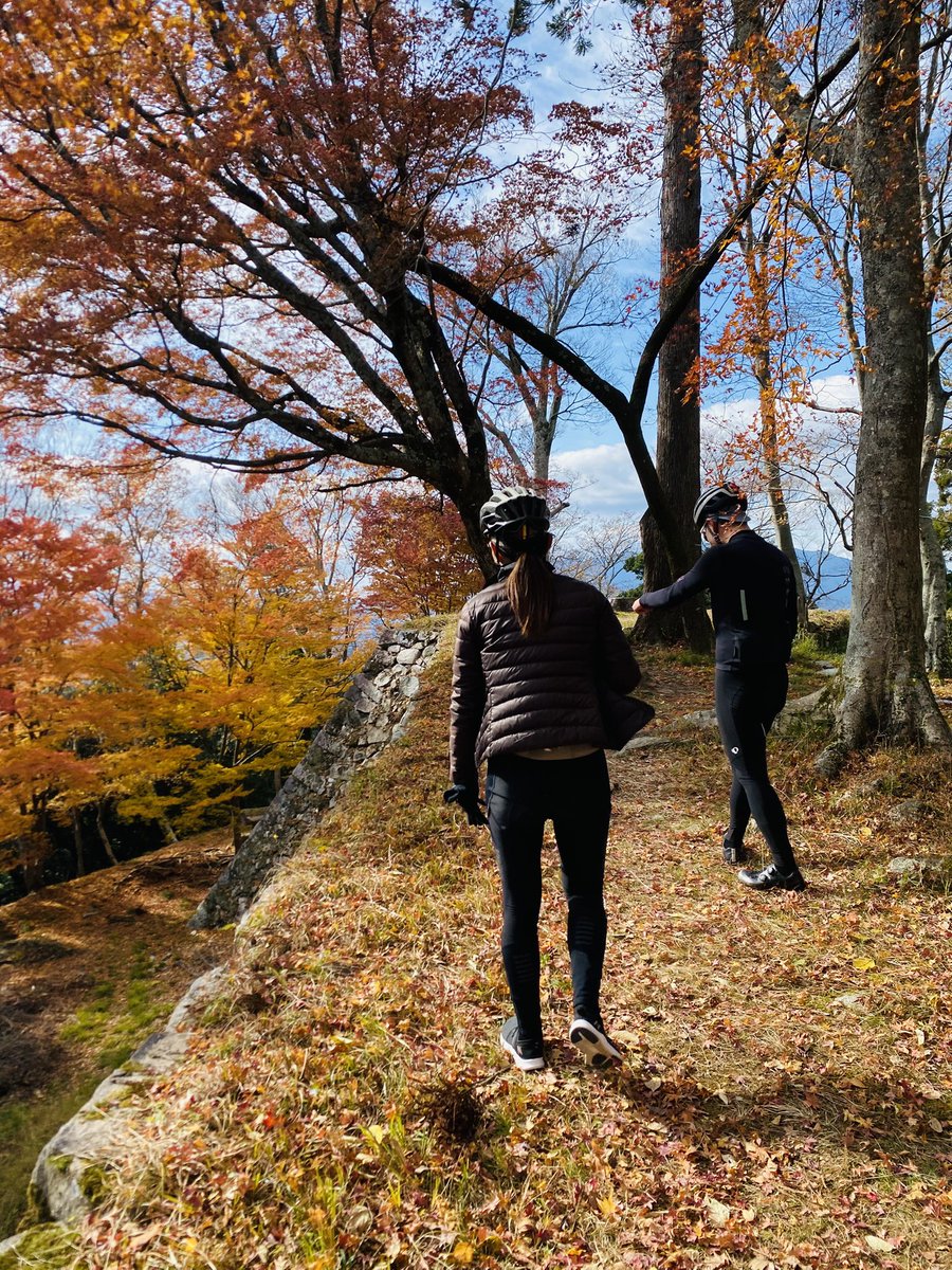 non_3246🚴‍♀️ tweet media