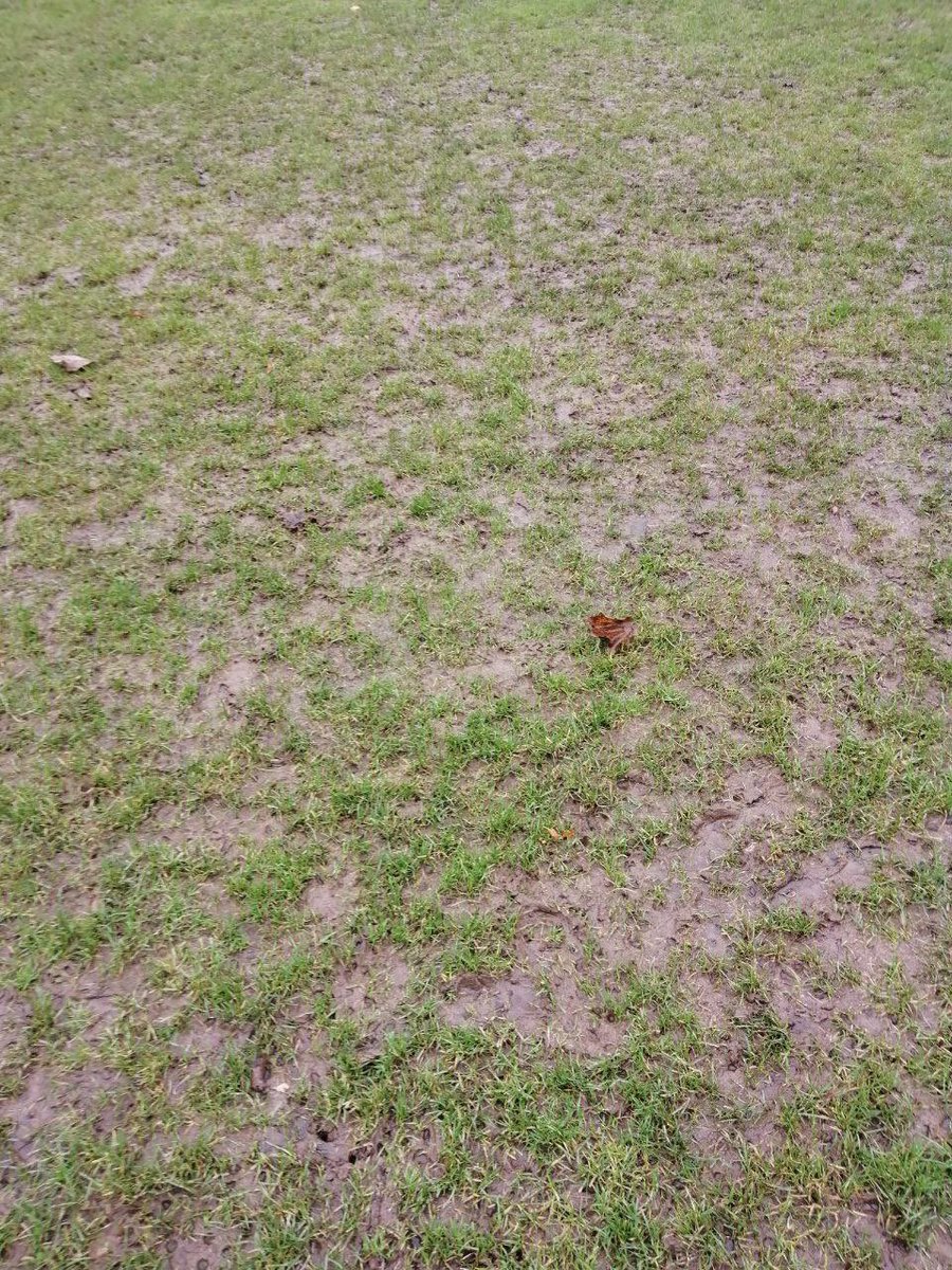 Clapton CFC tweet media