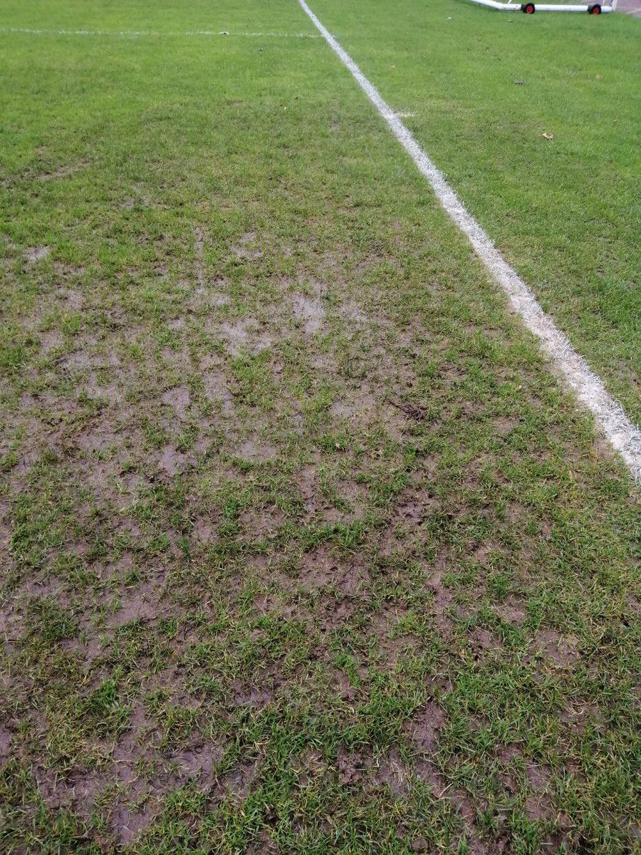 Clapton CFC tweet media