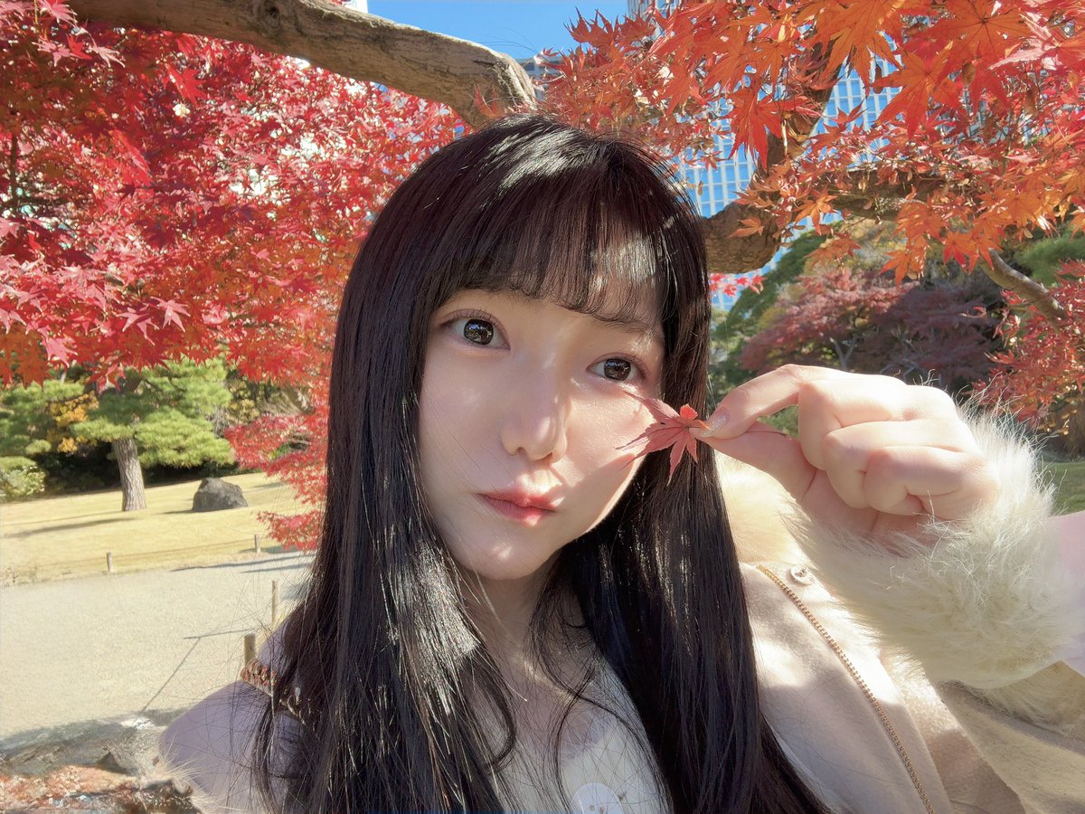 TIRA0518's tweet photo. 🍁 https://t.co/AaM517nZeS
