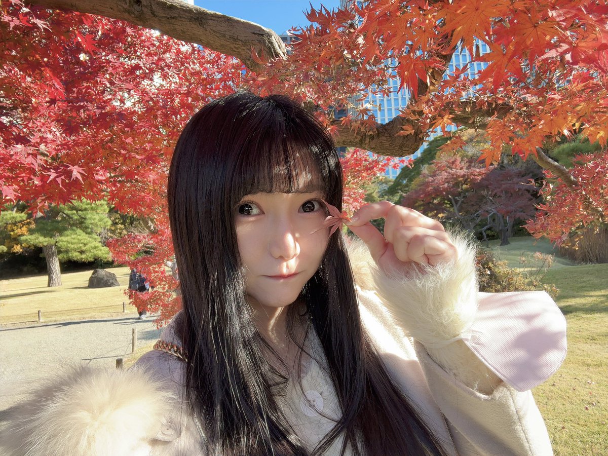 TIRA0518's tweet photo. 🍁 https://t.co/AaM517nZeS