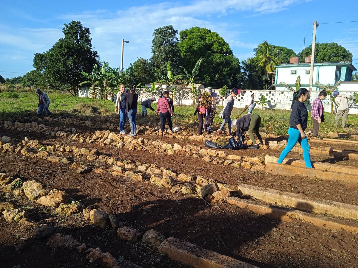 LisbanIsmael's tweet image. La recuperación de los organopónicos del municipio #1roDeEneroDeVictorias, es tarea de todos. #LatirAvileño #PoderDelPueblo @JHGcasanova @cav_alfre46699 @DaymiZamora @Anika1440302 @ivanc73 @Invasorpress @yamila_padron @NexyVelizNaranj