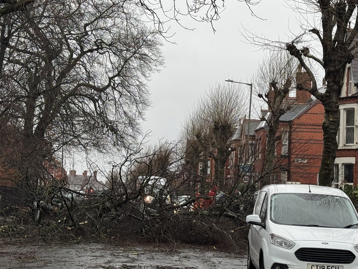 JamesPearceLFC's tweet photo. It’s grim out there. Trees down on Greenbank Road and Queens Drive. https://t.co/kKCGds5S7d