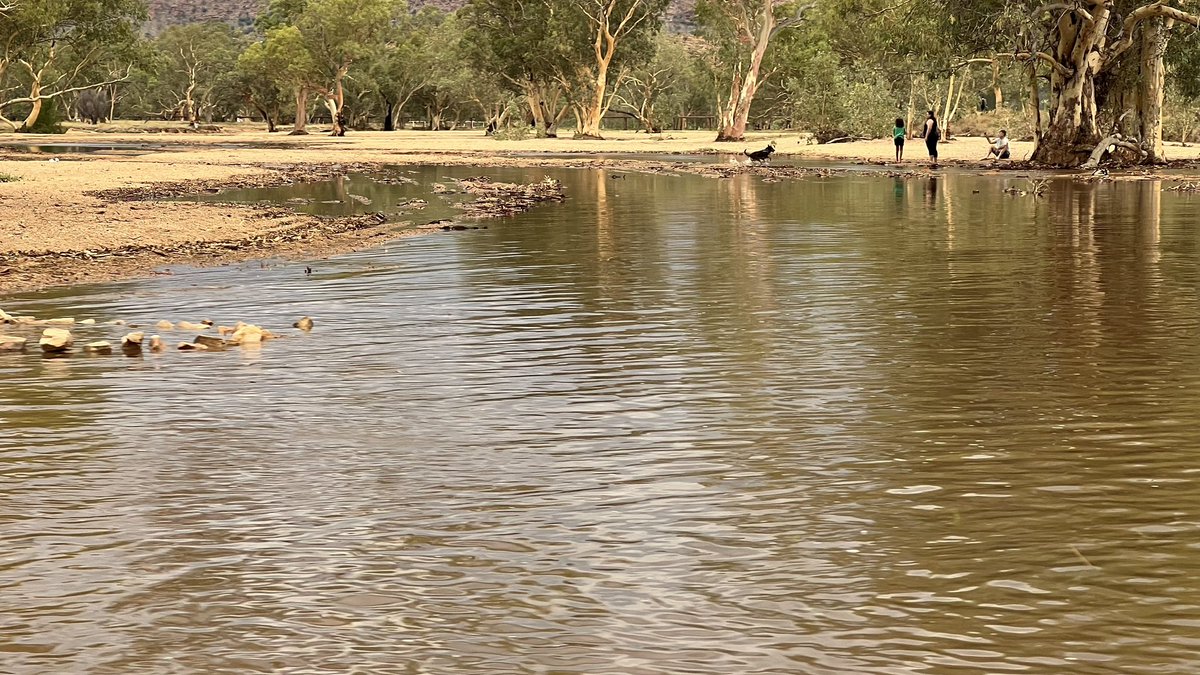 Karen Blanchfield 9 x ✳️ tweet media