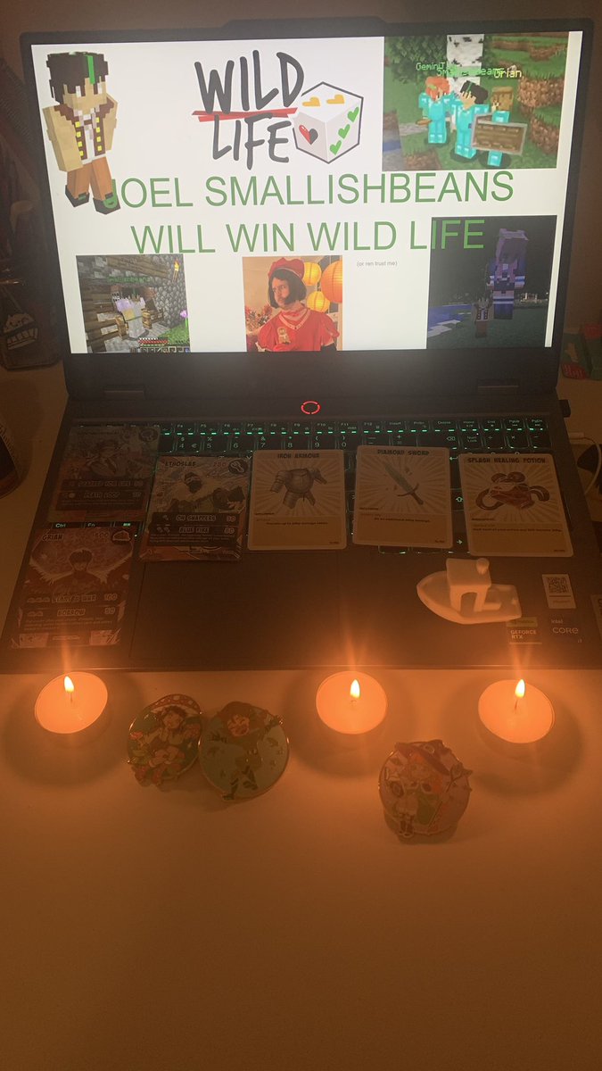 bugsandthebeans's tweet photo. 🕯️🕯️JOEL SMALLISHBEANS WILL WIN WILD LIFE🕯️🕯️ https://t.co/FkfZqk6f80