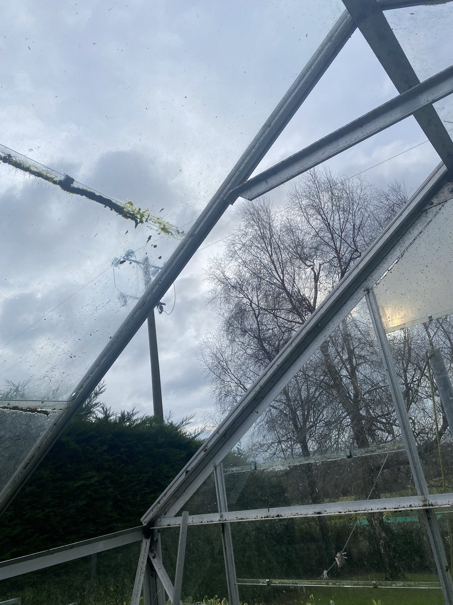 tarahill_flowers tweet media