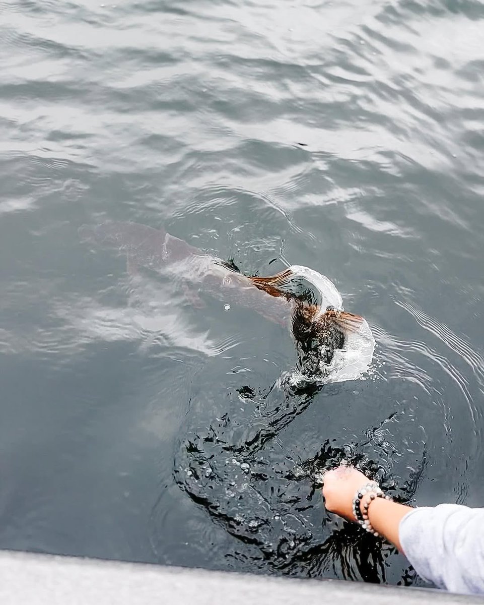 Fall is right around the corner 🍂🍁

It felt like an autumn morning with the cooler weather yesterday, and I'm loving it!

Fall is my favorite time of year ☺️what is yours?