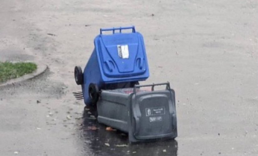 Go on blue bin my son 😂🫢