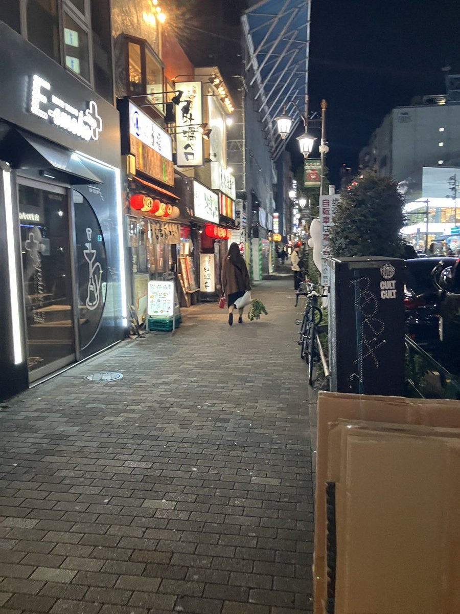 miko_ebisu's tweet photo. 袋から出てる大根の葉っぱが
緑色の謎の生き物にみえて
ちょっとホラー😳 https://t.co/NJSTCr7l20