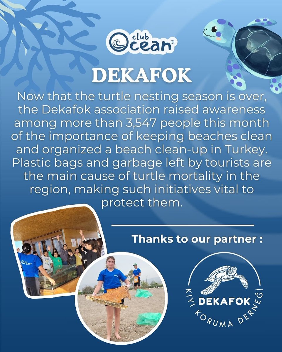 Club Ocean tweet media