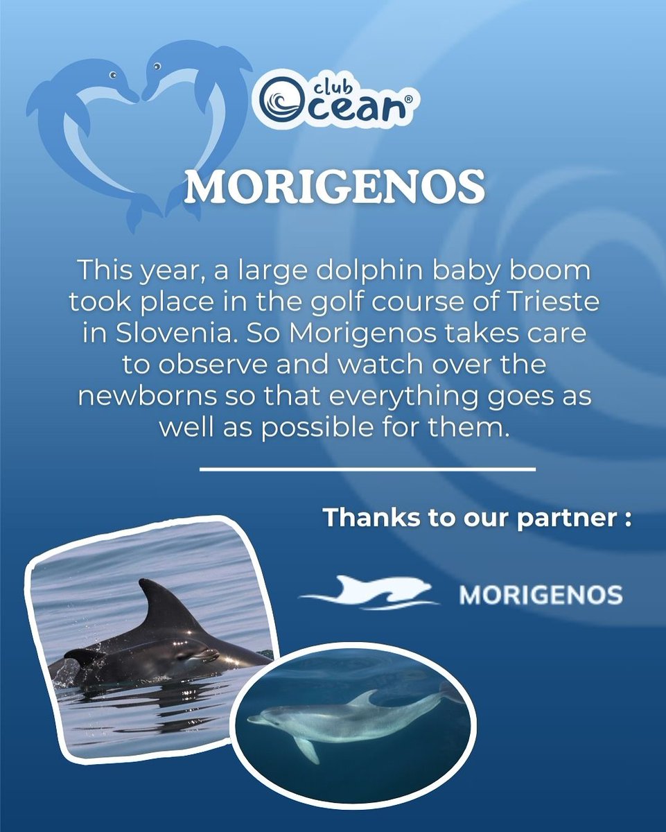 Club Ocean tweet media