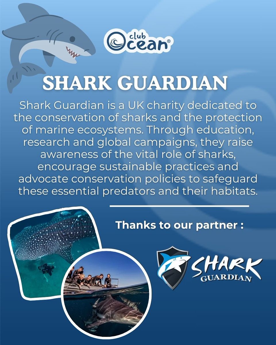 Club Ocean tweet media