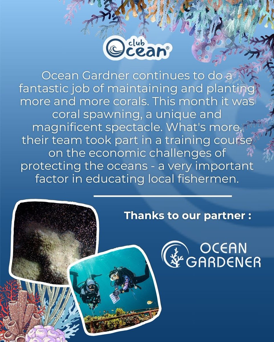 Club Ocean tweet media