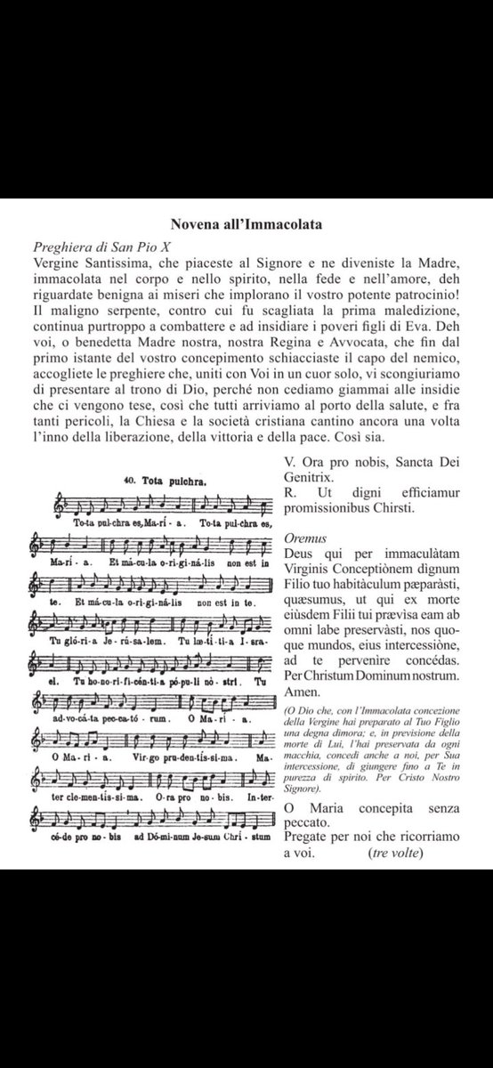 Maria Grazia G tweet media