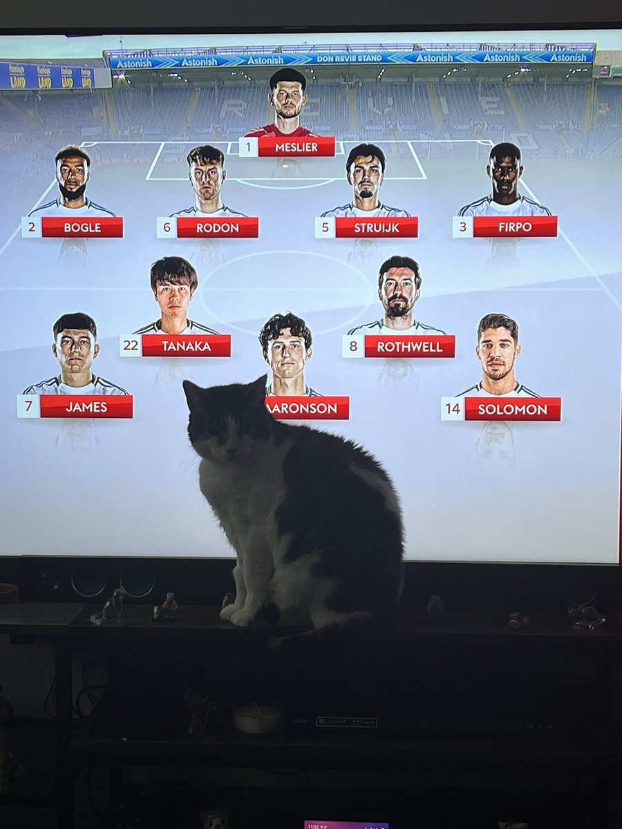 Yorkshire_Cat's tweet photo. Looks like my cat Vincent has replaced Joel Piroe upfront for Leeds United.

#LUFC
#MOT https://t.co/4P45CasiT3