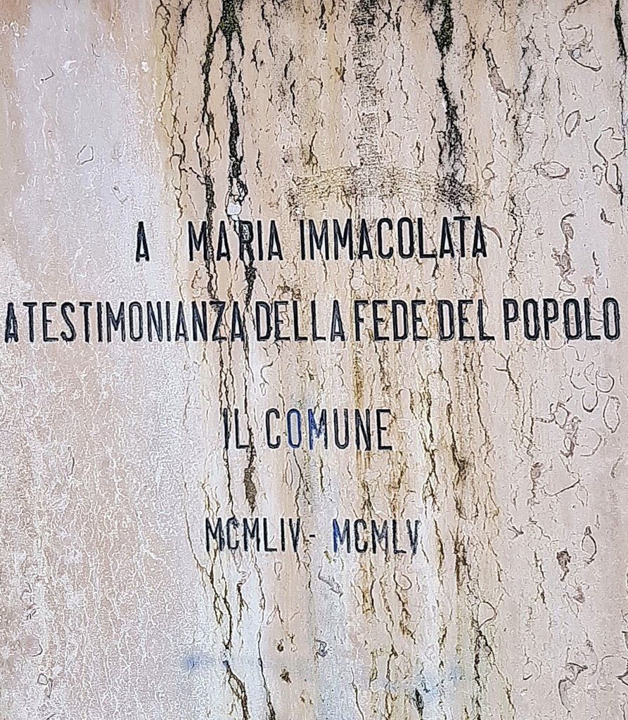 Maria Grazia G tweet media