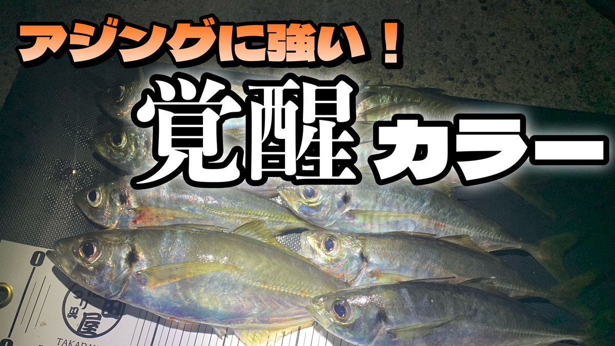 tsuri2tengoku's tweet photo. 皆さん、お疲れ様です🫡
YouTubeに動画をアップしました😊

今回の動画は、アジングに強い「覚醒カラー」を使ってアジングをした様子です🎣

動画はこちらから
https://t.co/0Nw3JtMeqs

#つり具つりえさ高田屋
#高田屋覚醒カラー
#レベロク
#釣りツリ天国
#ライトゲーム https://t.co/EpWf9dOzQ7