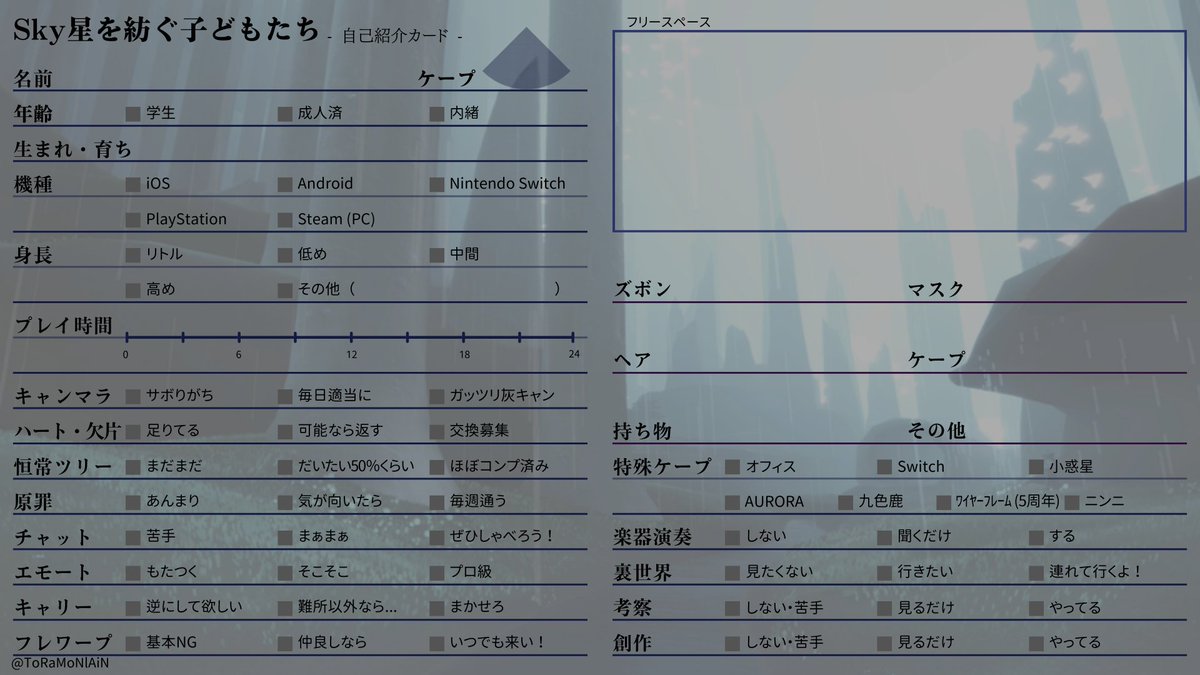 sky星を紡ぐ子どもたち #sky自己紹介カード #sky履歴書 #sky #sky写真