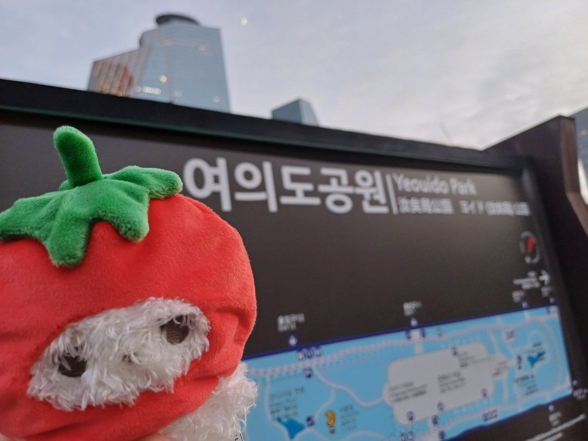 사인클 깃발을 못보고 온게 너무 아쉬워요