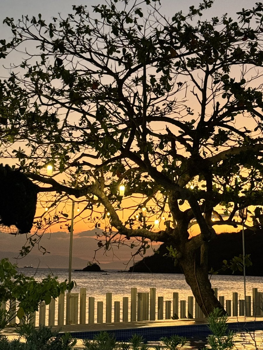 tonkantonan's tweet photo. Being alone is the best healing therapy you could give to yourself. 🌊🌅🌴🍃🫂🧡 

📍Brgy. Pagkilatan, Batangas City ATM! https://t.co/IEMO28Vcwq